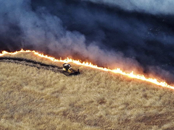 Grassland fire